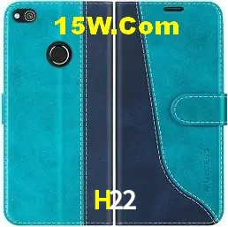 Promoções Sazonais H22